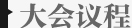 大会议程